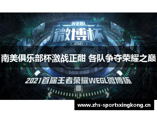 南美俱乐部杯激战正酣 各队争夺荣耀之巅